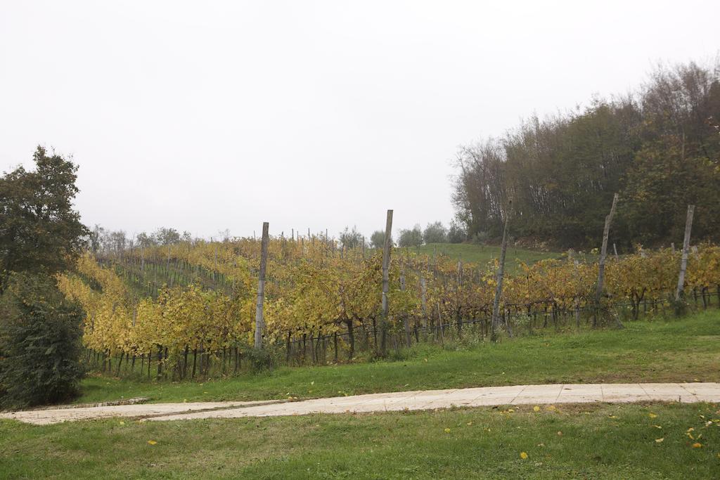Agriturismo Marani Arcugnano Exterior photo